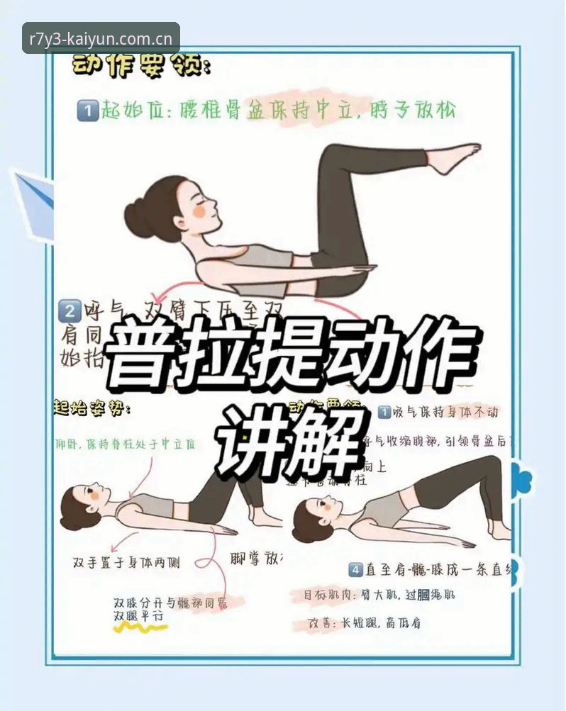 凯运体育最新动态使用技巧教程：从基础到进阶的完整操作指南
